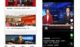 中央卫视媒体爆料视频回放,视频回放背后的真相