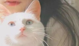 娱乐吃瓜少女喵,揭秘娱乐圈那些不为人知的幕后故事