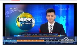 中央卫视媒体爆料视频回放,视频回放背后的真相