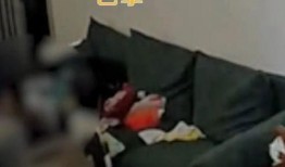 公公爆料儿媳的视频大全,家庭矛盾与真相大曝光