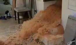 爆料房子被淹了视频大全