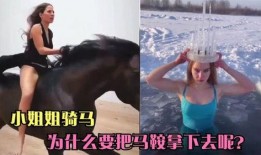 马老帅爆料搞笑视频,笑料百出，欢乐无限