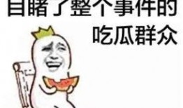 被套路的吃瓜群众小说免费阅读,一场网络小说的奇幻冒险之旅