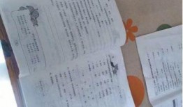 新闻爆料文字怎么写好,深度解析事件背后真相