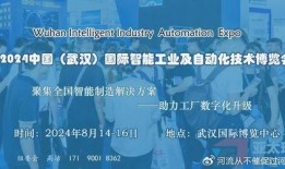 武汉智工爆料最新消息,揭秘行业重大动态与突破！