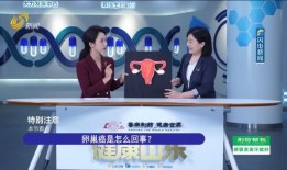 大亚湾电台爆料新闻视频,最新爆料新闻视频内容揭秘