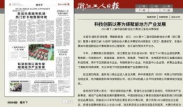 杭州日报热点爆料新闻事件