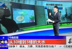 在沈阳有新闻爆料吗,揭秘事件真相