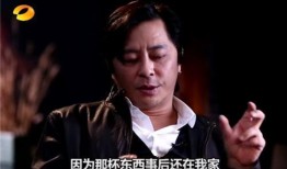 王杰加拿大爆料视频,揭秘娱乐圈不为人知的真相