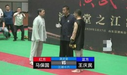 马保国爆料太极拳视频,太极拳实战技巧大公开
