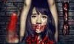 死亡女孩在线观看,网络迷雾中的惊悚真相