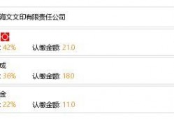 文文集团最新爆料,揭秘企业神秘面纱背后的故事