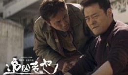 电影追凶者也在线观看,在线观看背后的故事