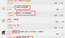 娱乐圈爆料吃瓜潜台词,揭秘明星背后的真实故事