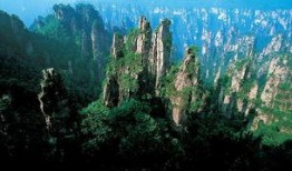 张家界吃瓜爆料新闻,揭秘当地美食背后的故事