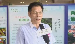 刘华爆料茶叶视频大全最新,茶叶视频大全，带你领略茶艺魅力