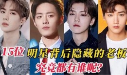 老板爆料明星视频,明星私密视频引发热议