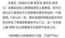 杭州日报热点爆料新闻事件