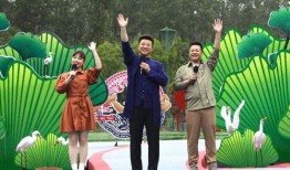 鹅厂高层爆料视频最新版,揭秘腾讯内部变革与未来战略