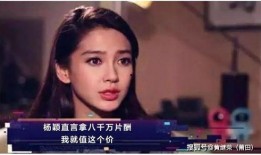 央视爆料娱乐圈事件视频,央视曝光惊天事件，真相令人震惊！