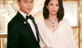 娱乐圈爆料吃瓜潜台词,揭秘明星背后的真实故事