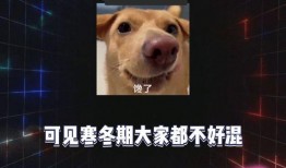 娱乐八卦号吃瓜,明星背后的那些事儿