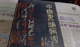 大连探店爆料视频大全,揭秘热门美食与隐藏宝藏