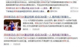 个人新闻爆料怎么写,个人新闻爆料背后的真相与影响