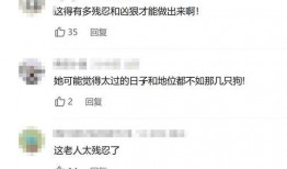 婆婆爆料视频在线观看网站,揭秘家庭秘密背后的真相