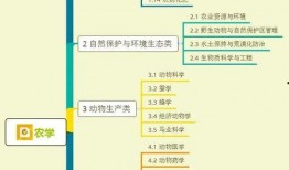 吉他大王爆料视频大全集,视频大全集精彩回顾