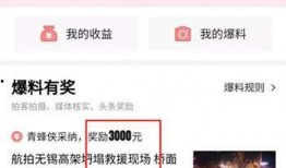 武汉头条今天爆料视频,今日热门视频事件深度解析