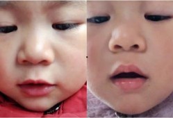 爸爸喝酒萌娃爆料视频,温馨家庭画面引网友热议