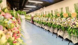 花篮网爆料最新网站大全,最新网站大全汇总，一网打尽全网精彩