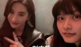 内娱男艺人恋情爆料视频,甜蜜瞬间引网友热议