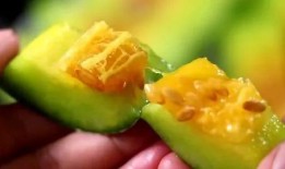 网红瓜都在哪里吃的多啊,揭秘瓜圈热门美食聚集地