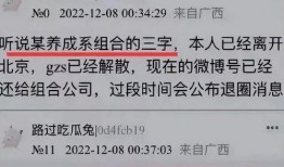 女子爆料王俊凯杨幂视频,女子爆料背后的真相揭秘