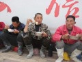 农民老张最新爆料新闻,揭秘农村新动向背后的惊人真相！