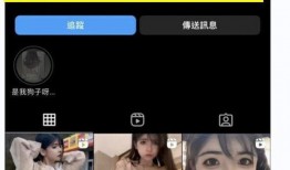 外网爆料金珍妮视频大全,揭秘明星私生活瞬间