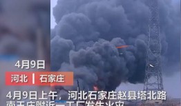 威海最新爆料事件视频曝光,视频曝光揭示惊人真相