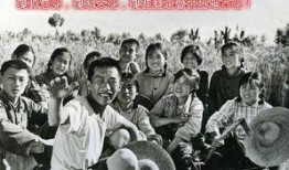 知青奇闻爆料事件视频大全,奇闻爆料事件视频大全回顾