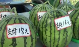 汾阳吃瓜爆料新闻,揭秘当地热点事件背后的真相