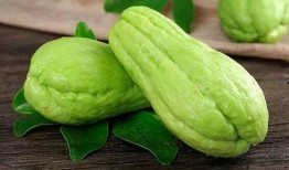 韩网红吃瓜,揭秘娱乐圈背后的秘密与八卦