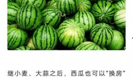 吃瓜在线吃瓜免费观看网站,吃瓜在线，畅享无界限的吃瓜盛宴